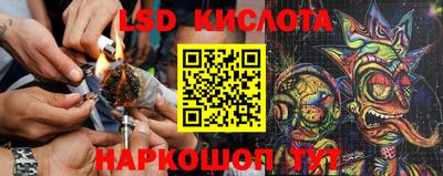 соль ск Краснодар
