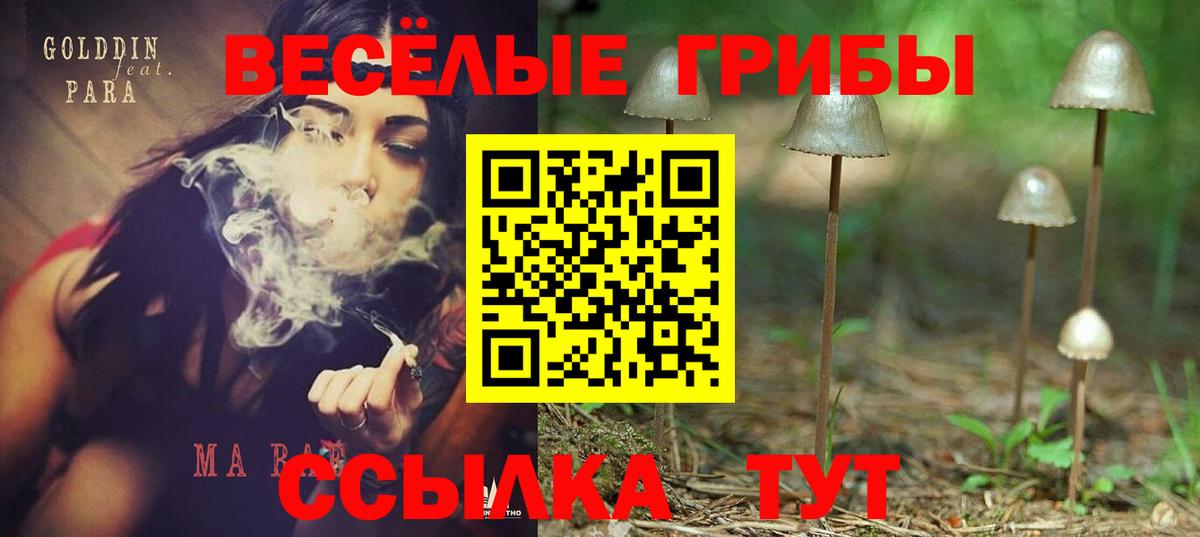 Костомукша  Псилоцибиновые грибы GOLDEN TEACHER  Вход с VPN 